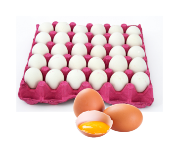 Eier in der Lage – 30Stk.
